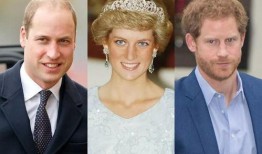 戴安娜给记者爆料视频在线观看,揭秘王室幕后真相